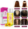 Hair Care Essentials